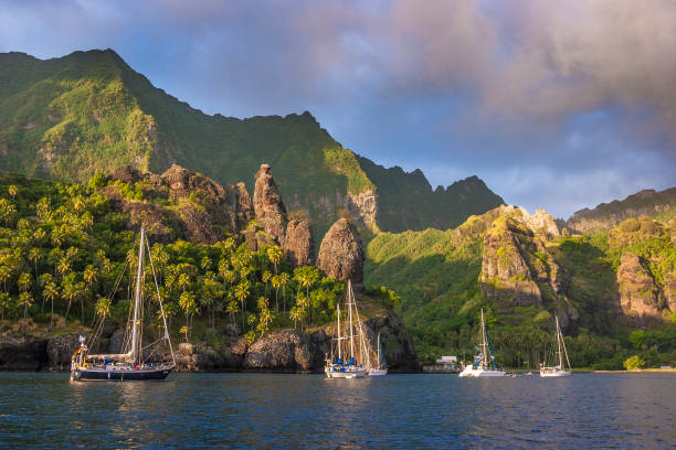 마 르 키즈 제도, 파투 히바 - marquesas islands 뉴스 사진 이미지