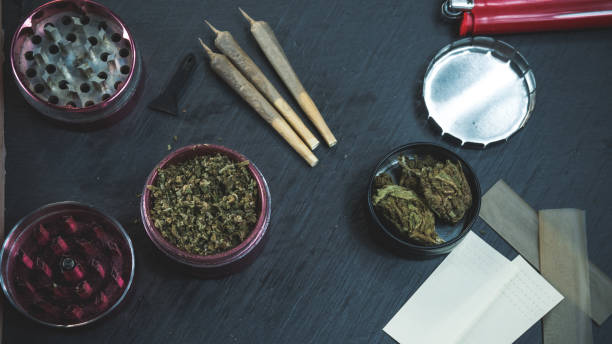 istock Marijuana buds, joints, paper and lighter lie on dark grey background. Cannabis is herbal medicine 1145258769