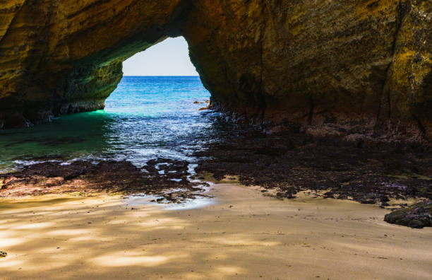 istock Nature landscape in Izu Japan 1145260546