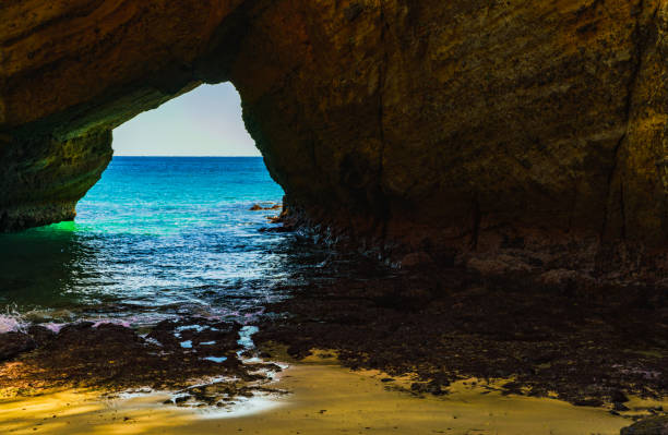 istock Nature landscape in Izu Japan 1145260570