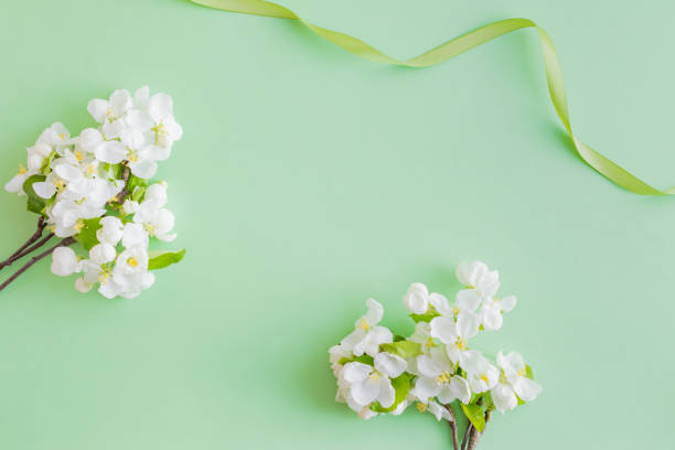 istock Flat lay composition with spring white flowers on a green background 1145267971
