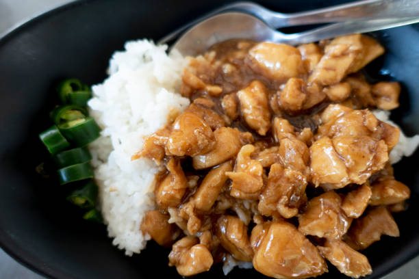 istock Chicken with sauce over rice 1145270443