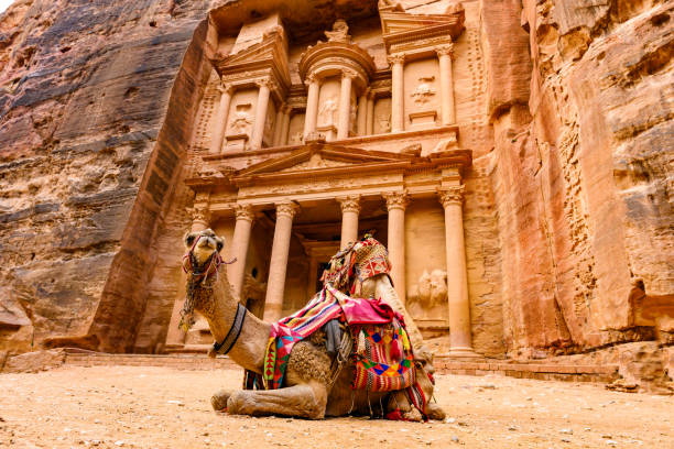 vista spettacolare di due bellissimi cammelli di fronte ad al khazneh (il tesoro) a petra. petra è una città storica e archeologica nel sud della giordania. - jordan foto e immagini stock