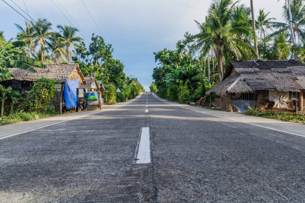 a long road that connects the province to the city with trees on both sides