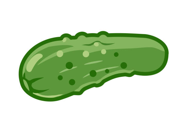 illustrazioni stock, clip art, cartoni animati e icone di tendenza di illustrazione del cartone animato vettoriale del cetriolo sottaceto, isolata su sfondo bianco. verdure verdi, gruppi alimentari, elemento di design del tema dietetico equilibrato. - pickled