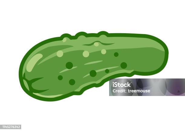 Pickle Cucumber Vector Cartoon Illustration Isolated On White Background  Green Vegetables Food Groups Balanced Diet Theme Design Element Stock  Illustration - Download Image Now - iStock
