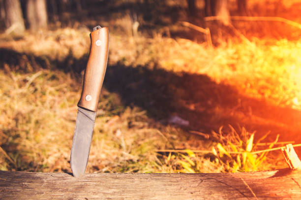istock hunting and bushkraft knife 1145276536
