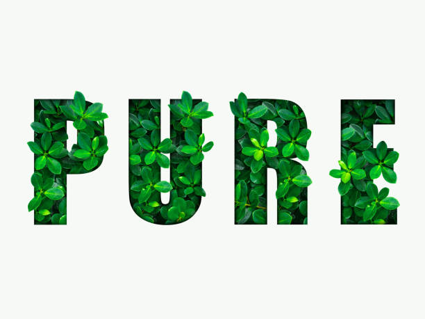 Word PURE from the green leaves