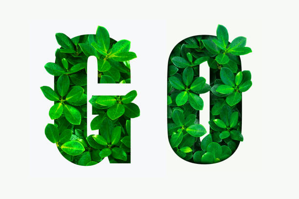 istock Word GO  from  green leaves 1145277665