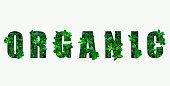 Word ORGANIC from green leaves
