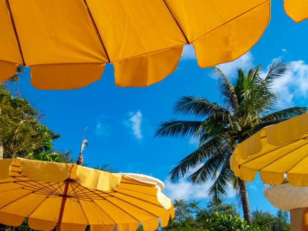istock Yellow sunshade on a Thailand beach 1145277787