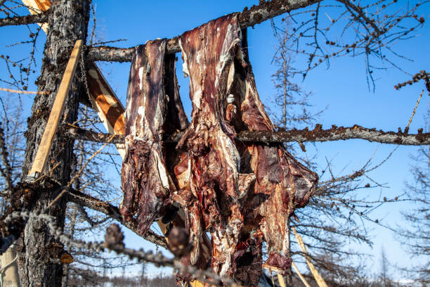 肉ジャーキー野生のトナカイは、木の上にハングアップします - delicatessen food preserved jerky ストックフォトと画像