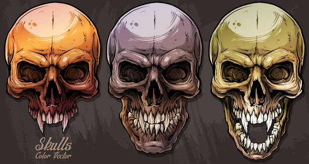 szczegółowy zestaw kolorowych ludzkich czaszek - sketch skull people anatomy stock illustrations