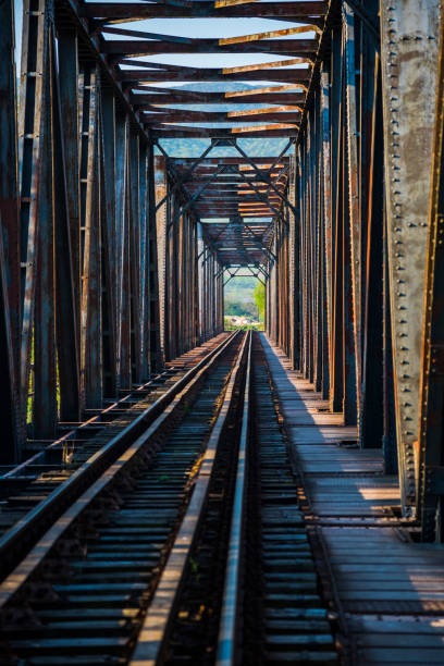 istock Steel railroad bridge 1145282226