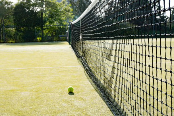 istock tennis ball on the grass 1145286385