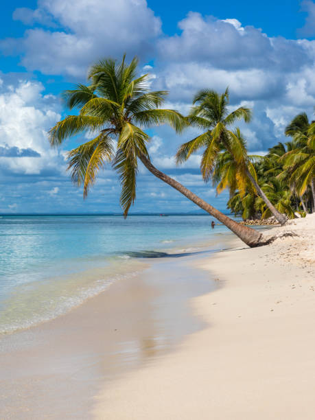 istock Saona Island, Dominican Republic 1145292229