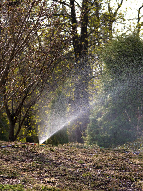 istock Sprinkler spraying water on spring hilly lawn. 1145293472