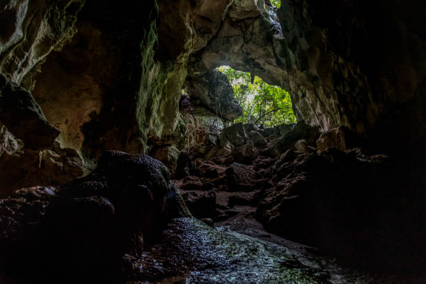 istock Los Haitises National Park, Dominican Republic 1145294499