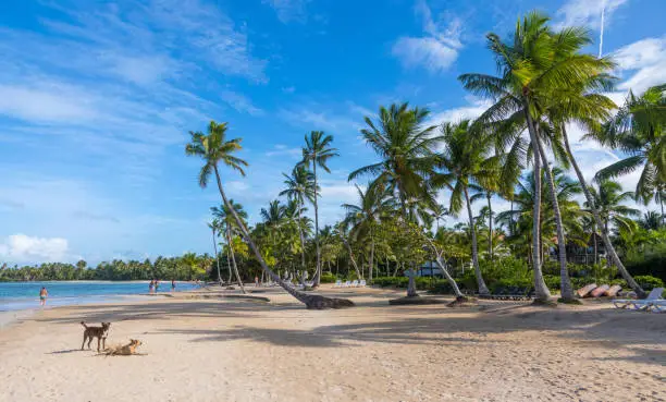 Samana is on the coast of the Atlantic Ocean in the northeastern part of the Dominican Republic. It was discovered by Christopher Columbus on January 12, 1493.