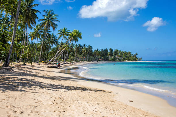 istock Samana, Dominican Republic 1145297178