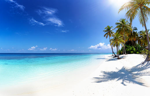 Tropical paradise beach with coconut palm trees, turquoise ocean and deep, blue sky