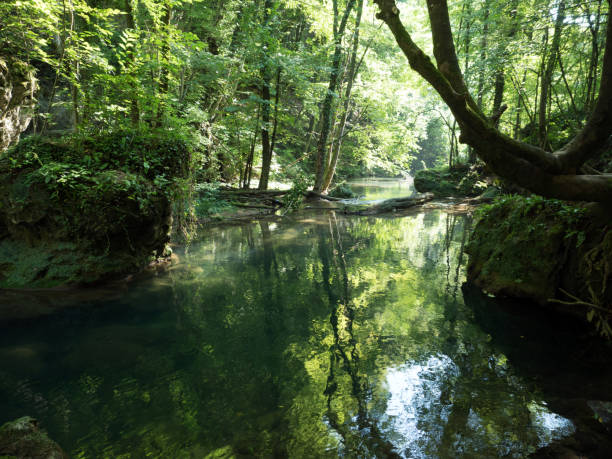 istock Beiu River at Cheile Nerei National Park, Romania 1145298391