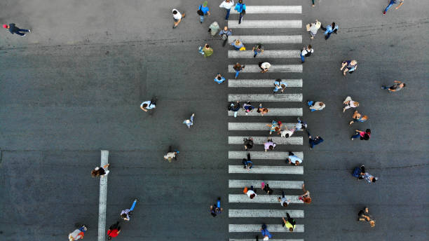 istock People crowd, top view. Pedestrian crossing crosswalk view above. 1145298865