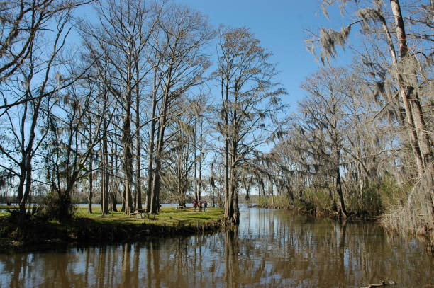 Madisonville, Louisiana, USA - 2019: People walk near a small stream at Fairview-Riverside State Park.