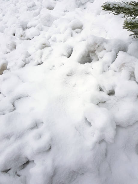 istock Beautiful gradient background banner for text - texture of uneven snow 1145303426