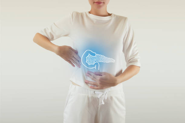 healthy pancreas drawing colored blue Healthy human pancreas highlighted blue abdominal cavity stock pictures, royalty-free photos & images