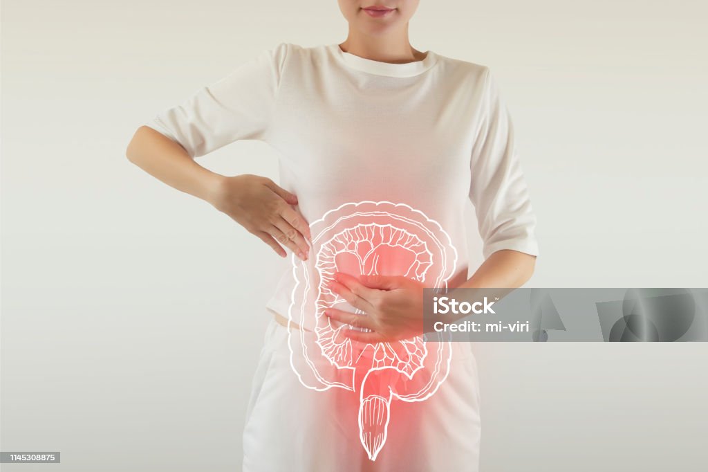 intestine drawing with pain colored red Digital composite of highlighted red painful intestine of woman / health care & medicine concept Intestine Stock Photo