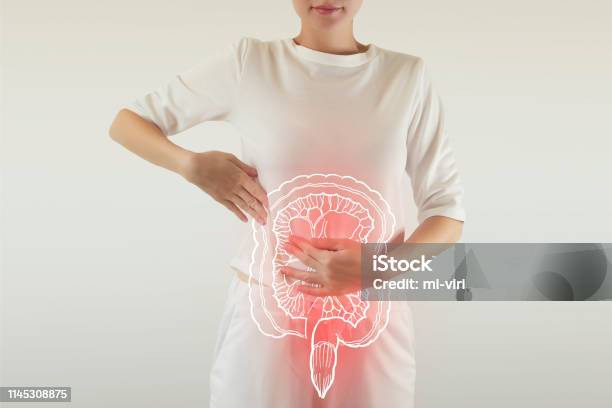 Intestine Drawing With Pain Colored Red Stock Photo - Download Image Now - Intestine, Abdomen, Probiotic