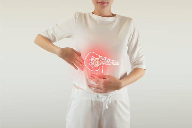 pancreas drawing with pain colored red stock photo