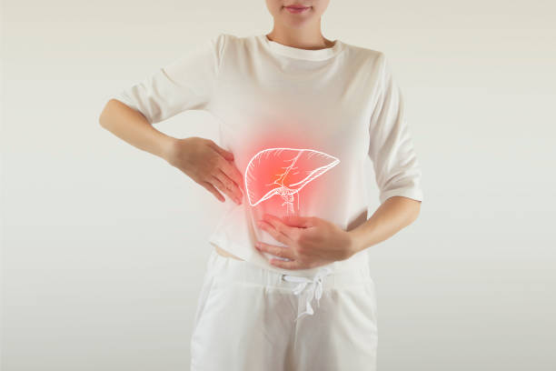 liver drawing with pain colored red stock photo