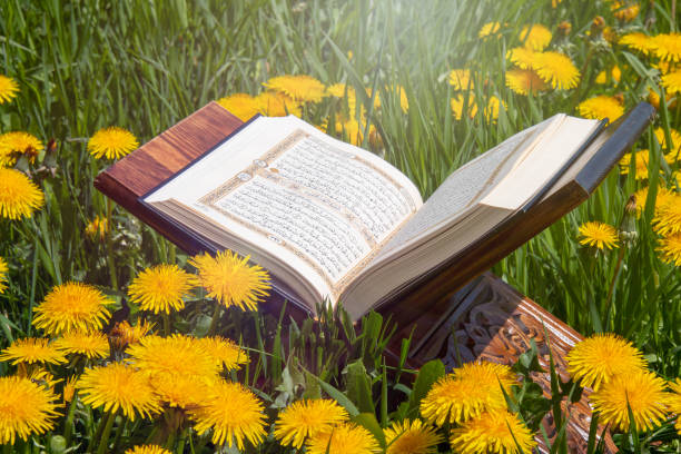 istock The Holy Quran 1145311075