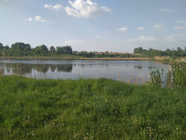 istock Pond in the countryside 1145315054