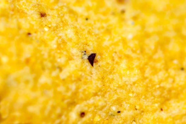 macro shot of a piece of a potato chip