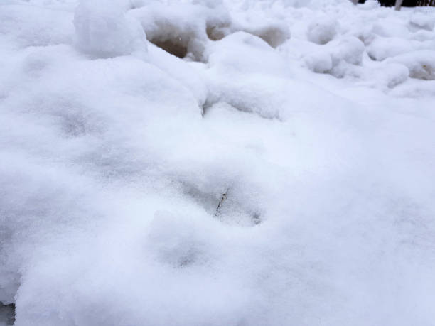 istock Beautiful gradient background banner for text - texture of uneven snow 1145315322