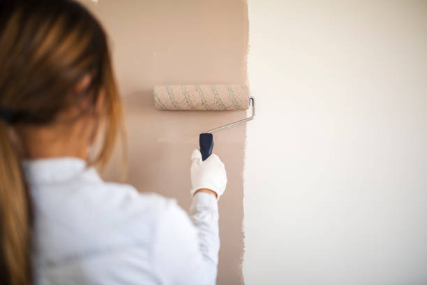 ローラーで壁を塗る女性のクローズアップ。 - painting home improvement house painter ストックフォトと画像