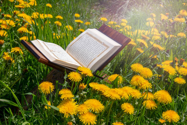 istock The Holy Quran 1145317368