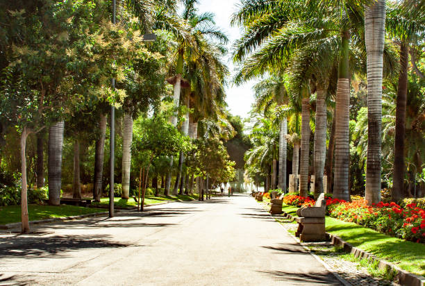 istock relaxing park away to the fountain 1145323992