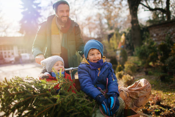 istock Delivering home Christmas tree by cargo bike 1145330224