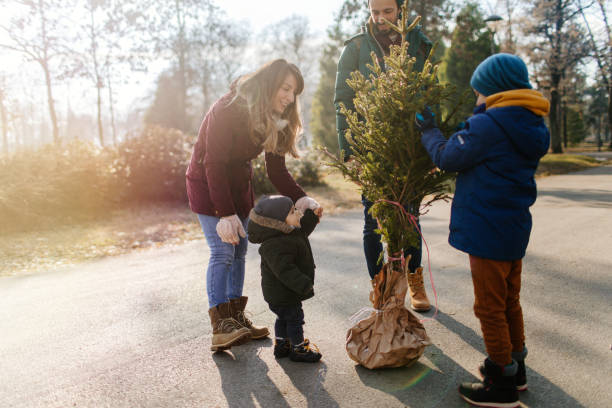 istock We have chosen our Christmas tree 1145330621