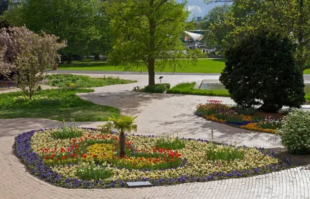 Flower beds in Cologne's Rheinpark in spring