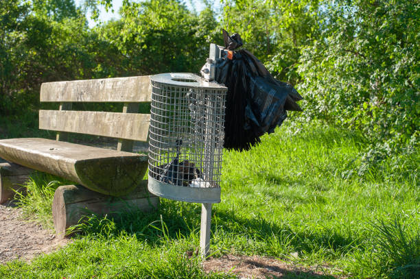 istock Dog waste bags in trash bin 1145347258