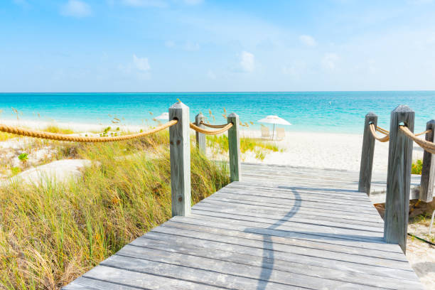 istock walkway leading to Caribbean beach 1145350447