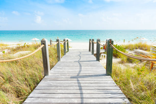 istock walkway leading to Caribbean beach 1145350707