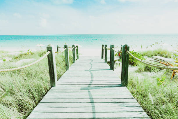 istock walkway leading to Caribbean beach 1145351675