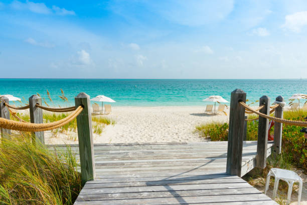istock walkway leading to Caribbean beach 1145353449