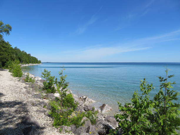 istock Idyllic lakeside view with turquoise water over rocky shore with young trees 1145359711